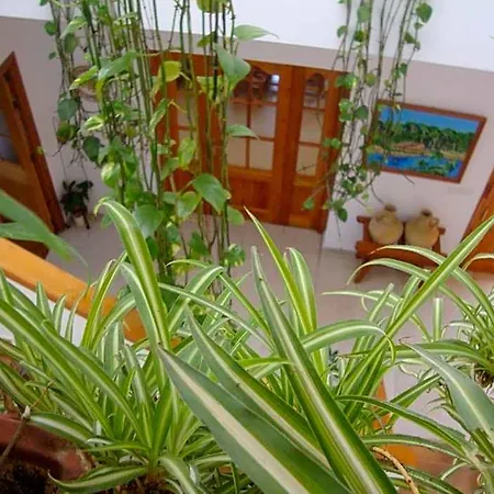 לינה וארוחת בוקר Casa Algaida *