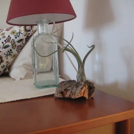Casa Algaida Bed and breakfast *