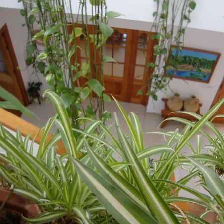Alojamento de Acomodação e Pequeno-almoço Casa Algaida Sanlúcar de Barrameda