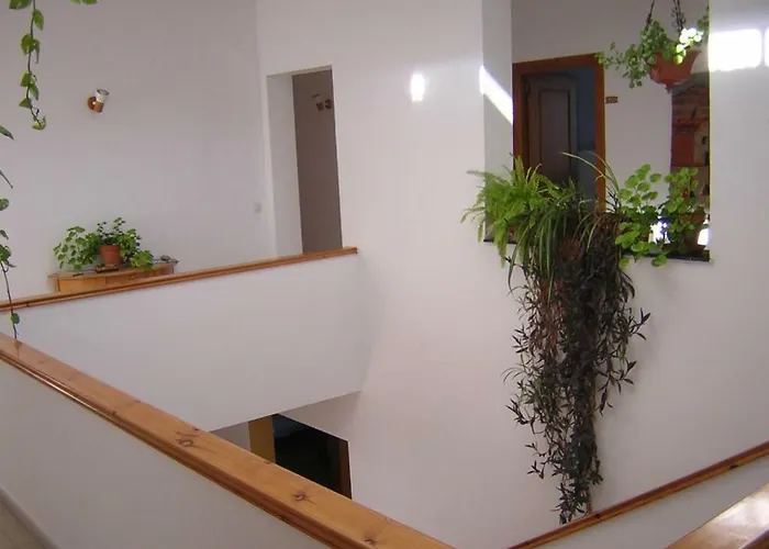 Alojamento de Acomodação e Pequeno-almoço Casa Algaida *